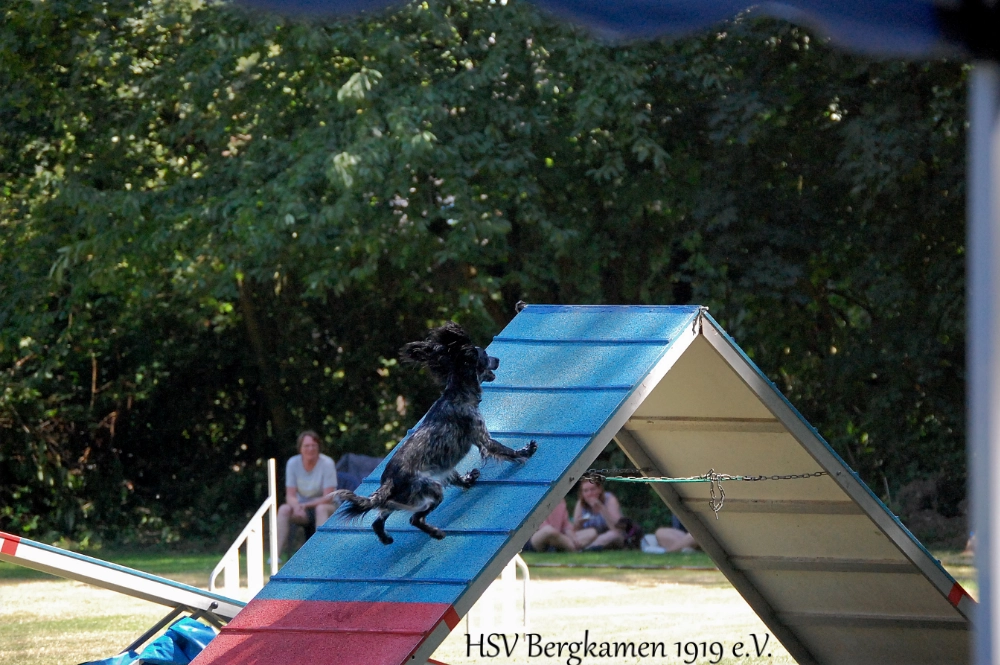 Agility